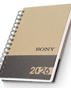 AGENDA DIÁRIA 2025