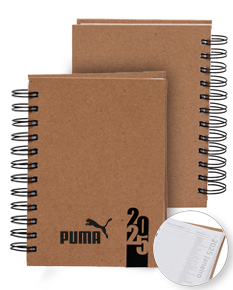 AGENDA DIÁRIA 2025